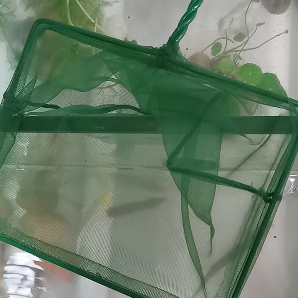 Akvarium fisk akvarium nät rund fyrkant fisk fiske akvarium kopia nät akvarium tillbehör fisk nät grönt