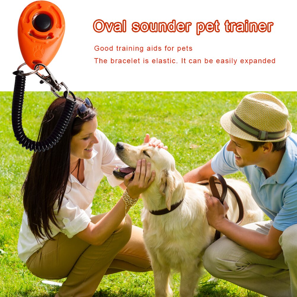 Correa de policarbonato para perros, accesorio de entrenamiento para perros y mascotas, Perro inteligente, 1 unidad