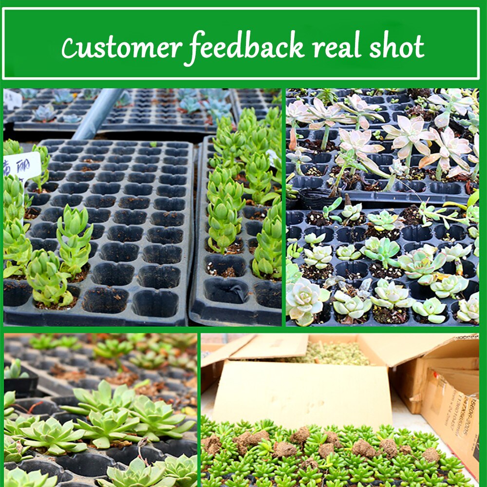 4Pcs/Pack Cells Seedling Starter Tray Extra Strength Seed Germination Plant Flower Pots Nursery Grow Box Propagation For Garden