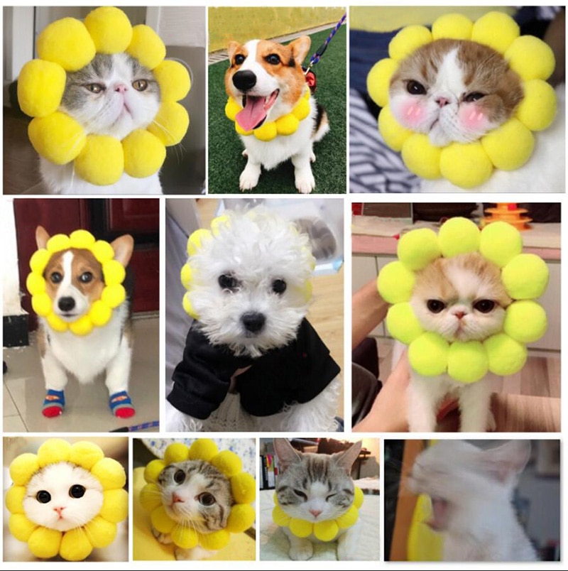 JU Cosplay Dog Cat Pet Flower Headgear Hat Costume Puppy Kitten Headdress Elizabeth Circle Head Wear Products Accessories