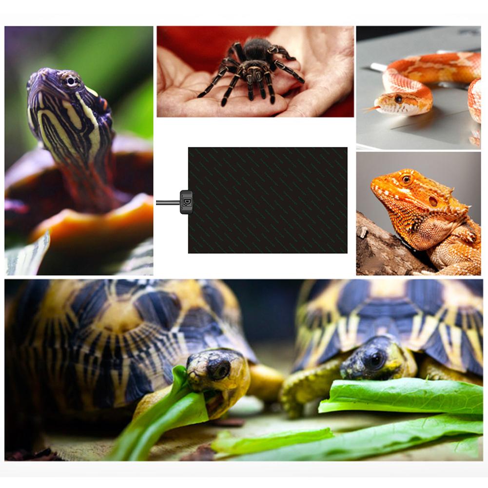Pet Reptiles Heat Mat Climbing Pet Warm Reptile Heating Pad Turtle Breeding Box Lizard Waterproof Insulation Pad 12/24/38W