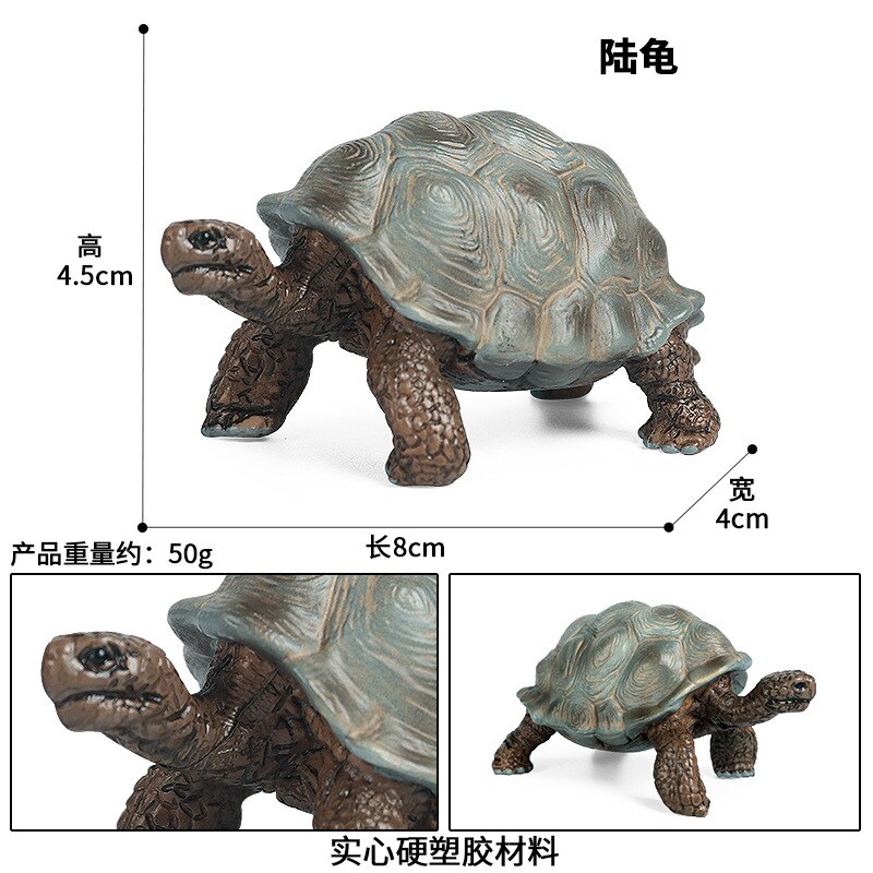 Simulation Ozean Ebene Meer Schildkröte Serie Modell Aktion-figuren Sammlung Miniatur Erkenntnis Kreativität Spielzeug für freundlicher: M-1687