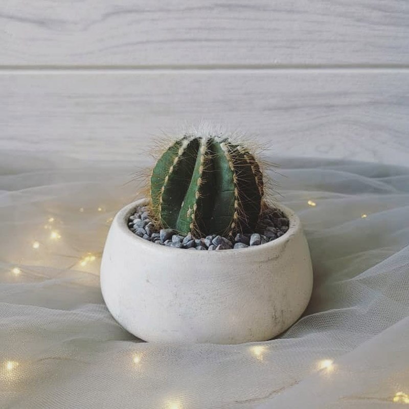 Concrete Planter Molds Cement Beton Flower Pot Molds Garden Pot Molds