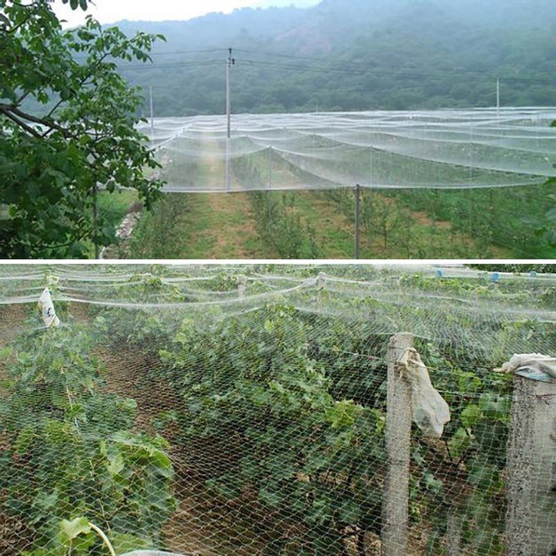Red antipájaros de nailon para prevenir la caza, red negra para prevenir aves, para cultivo de frutas, plantas y árboles