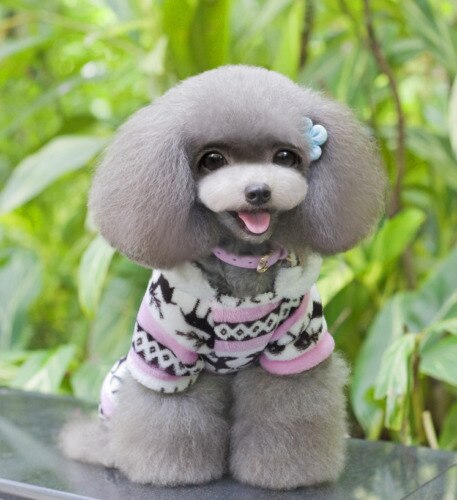 Manteaux de noël pour chiens | Pull pour chiot chat, vêtements chauds, pull-over, tricot, Costume à capuche,