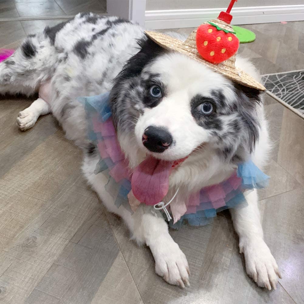 LVTUBANLV Adjustable Cute Mini Pet Sombrero Dog Straw Hat Cat Woven Hat Puppy Sun Bucket Cap for Small Dogs Puppy Cats Supplies