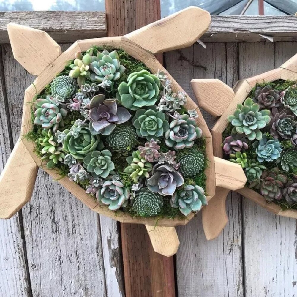 Pot de fleurs en bois pour animaux, plantation de plantes de jardin, Micro Pot de paysage, décoration ,: F no flowers / L 35cm