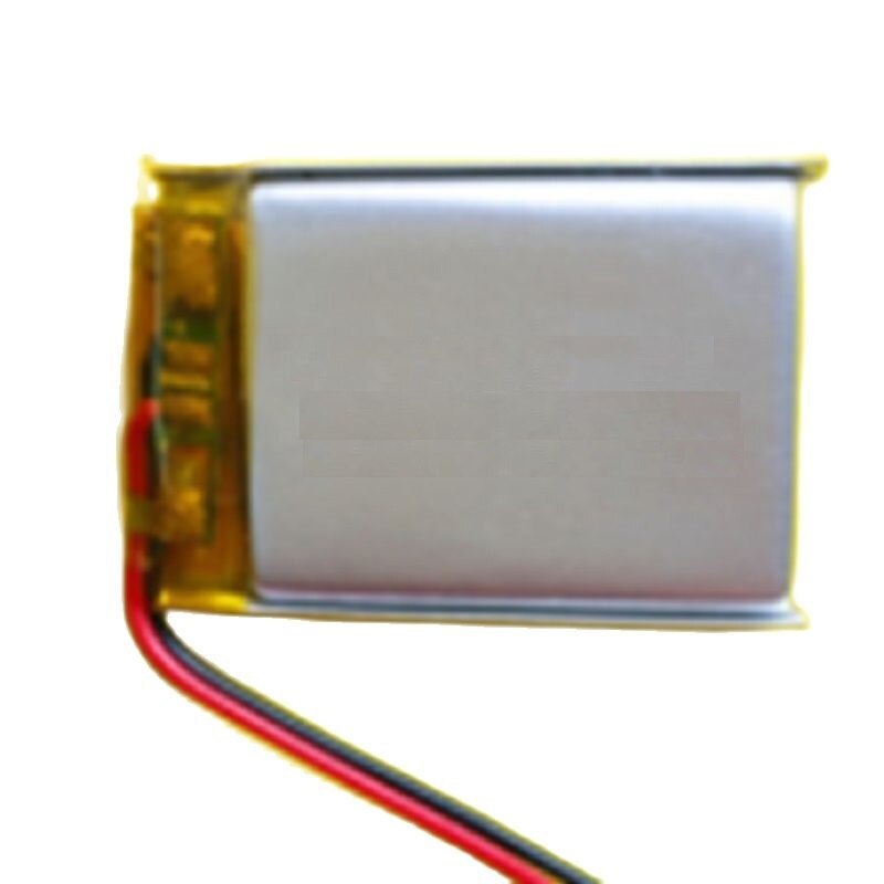 bryton r310