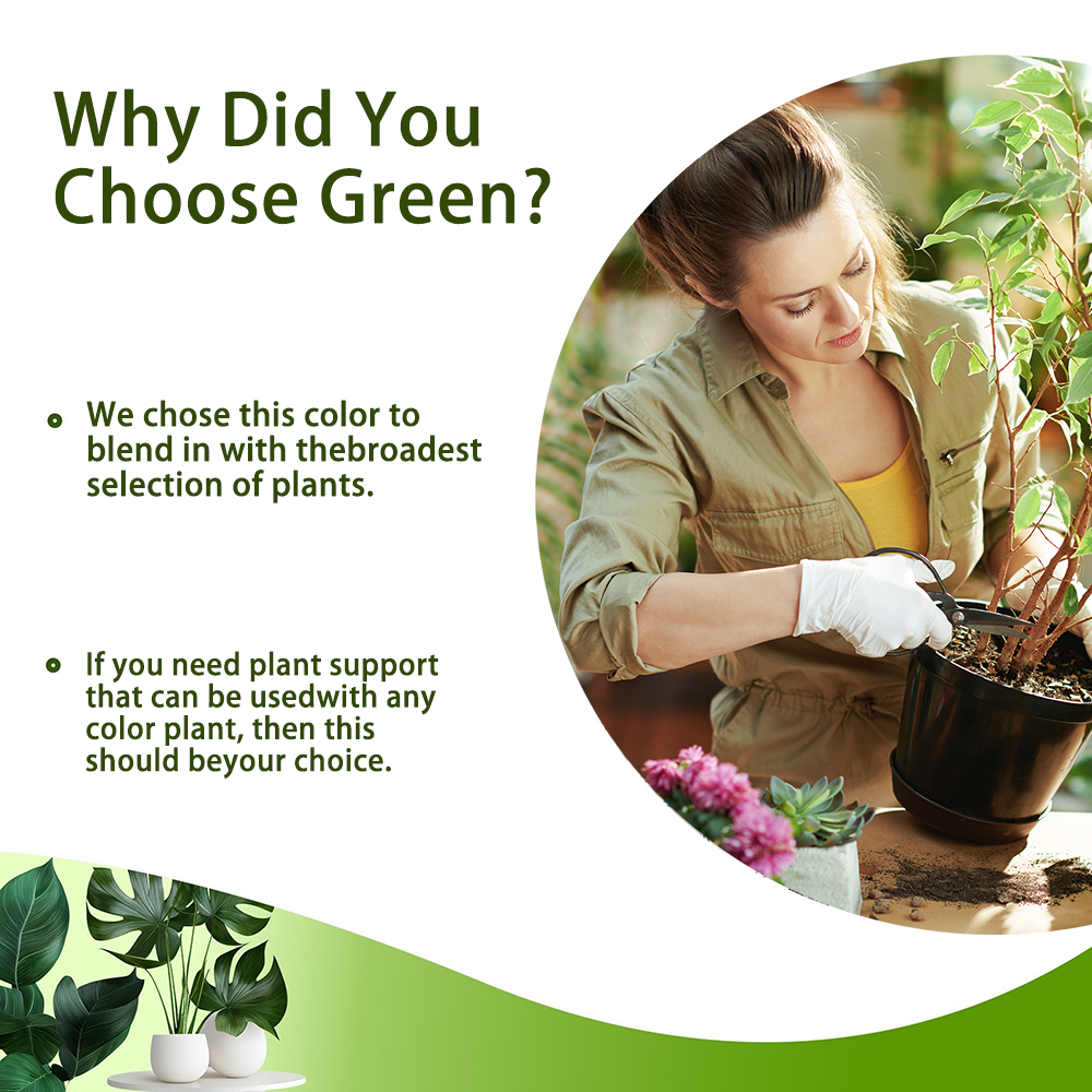 Estacas empilháveis da planta de 3 pces para plantas internas, estacas estéticas do apoio das plantas para plantas vivas, alternativa da treliça das plantas ao ar livre