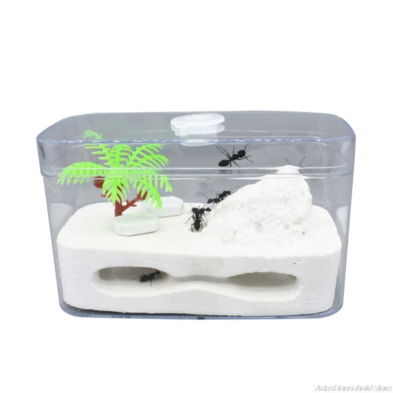 Ant Farm Clear Plastic Box Ant Plaster Home for Kid Study of Ant Behavior Ant Nest Farm Educational Formicarium for Ant