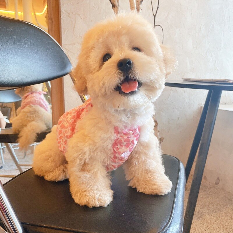 Dog Skirt Vest for Small Medium Dogs Cute Dot Dog Dress Maltese Girl Skirts Pomeranian Clothes Summer Pet Dog Apparel