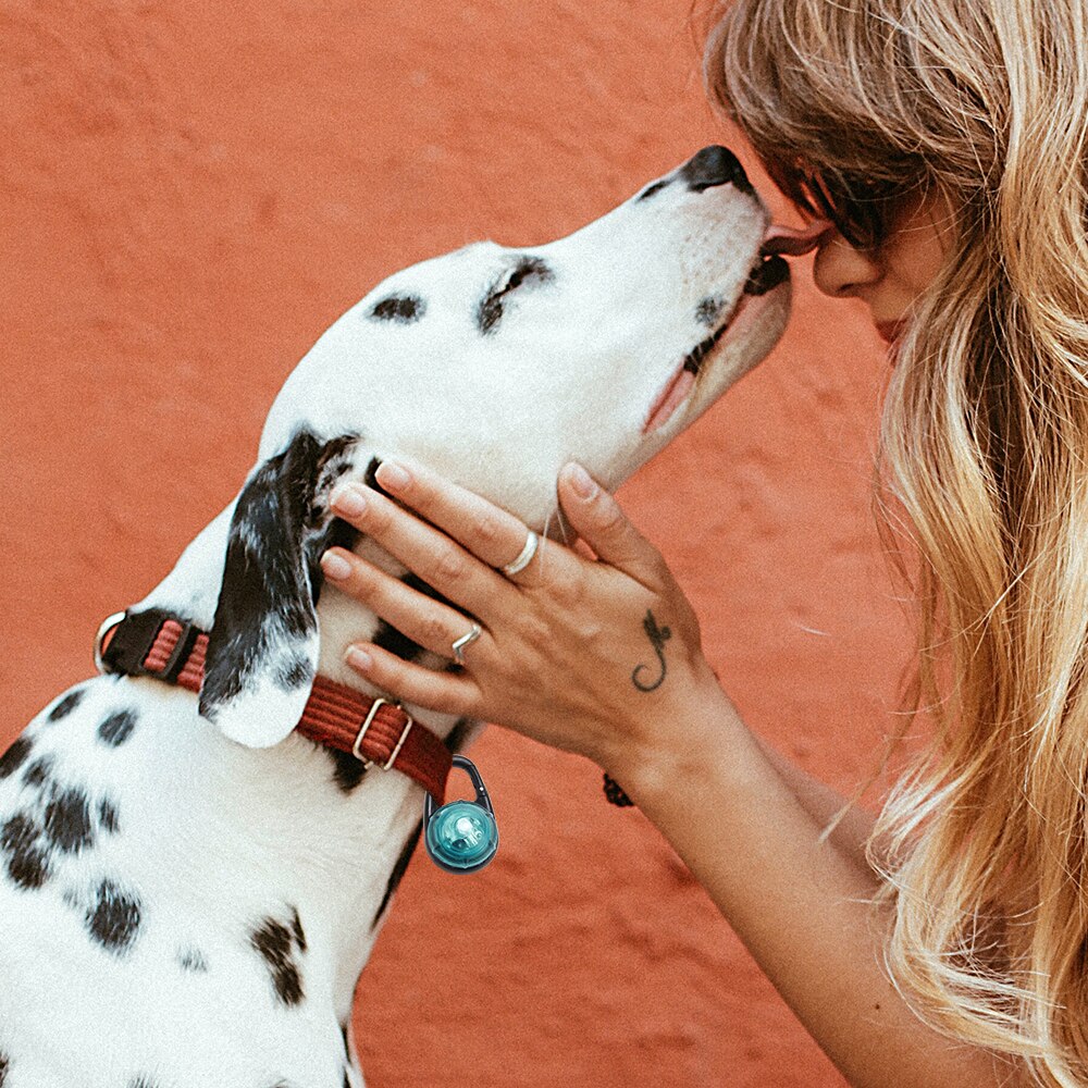 Maxi Safe veiligheidslicht | Voor langharrige honden Maxi Safe veiligheidslicht | Voor langharrige honden
