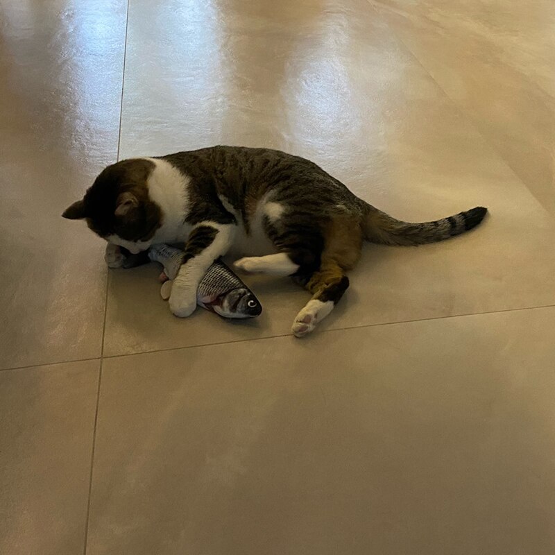 Juguete eléctrico para gatos, pez 3D con carga USB, simulación de peces móviles, juguetes para mascotas, suministros de juguete flexible