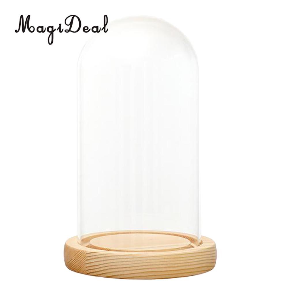 Desk Decor Glass Light Up Display Dome Cover Shade Shield With Wood Cork Home Decorations for Pub Bar Cafe: 04