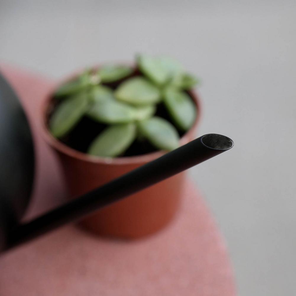 Waterer Metal Watering Can Long Spout Watering Jug Small Plant 100% Brand And High Qualitydurable And Comfortable To Use