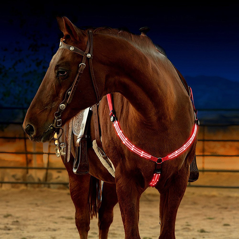 Flowish LED Paard Borstplaat Kraag Hoge Zichtbaarheid Tack voor Paardrijden Verstelbare Veiligheid Gear Verstelbare, Stevige & Comfortabele Paardensport Veiligheidsuitrusting voor Nacht Paardrijden (Blauw
