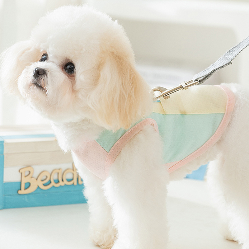 Dog Cooling Vest Thin Summer Dog T Shirt Dog Sunscreen Pet Dog Clothes with Buckle Bichon Breathable Mesh Puppy Costumes