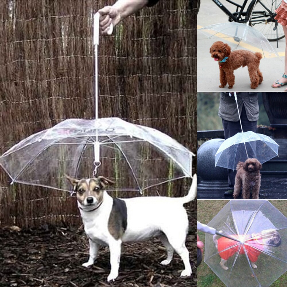 Parapluie Transparent en PE pour animaux de compagnie, équipement de pluie avec fils pour petits chiens, confortable pour les animaux de compagnie sous la pluie et la neige