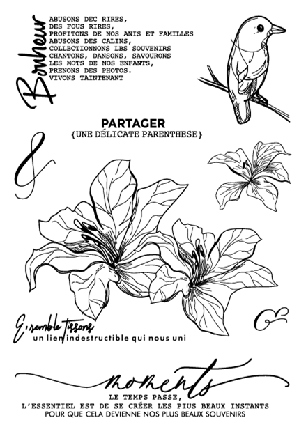 Fransk genomskinlig stämpel för scrapbooking transparent silikongummi gör-det-själv fotoalbumdekor  f131: Orange