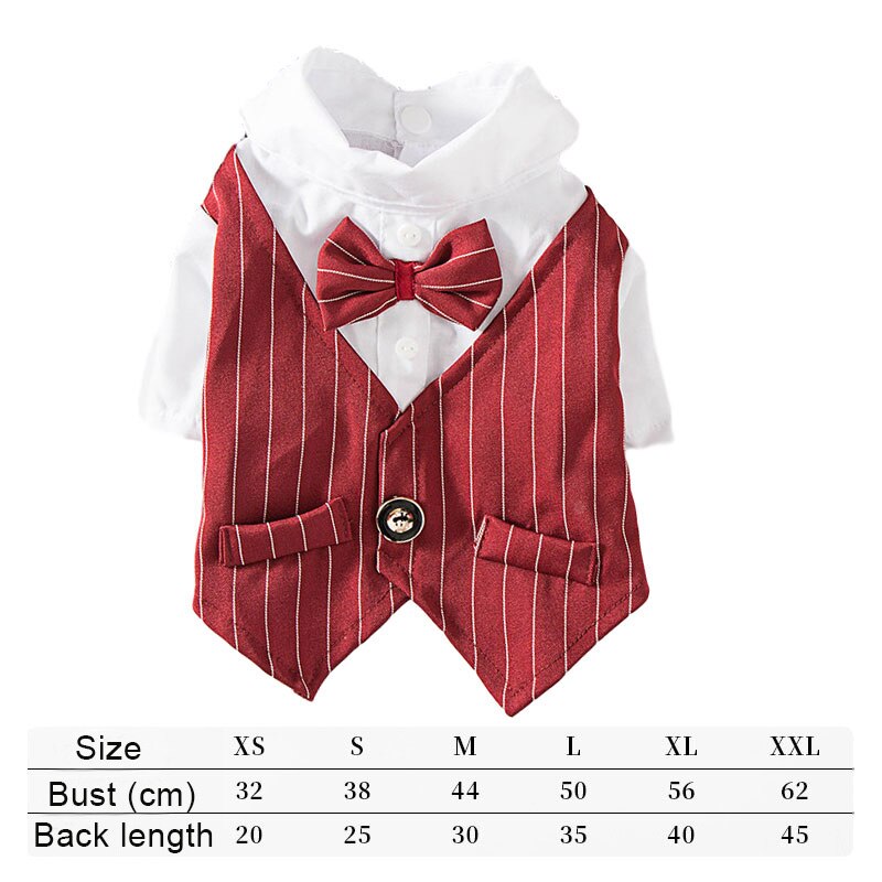 Gentleman chien vêtements rayure chien Costume formel chien chemise avec noeud mariage Costume chiot vêtements animal de compagnie petit chien Costume: Wine red / S