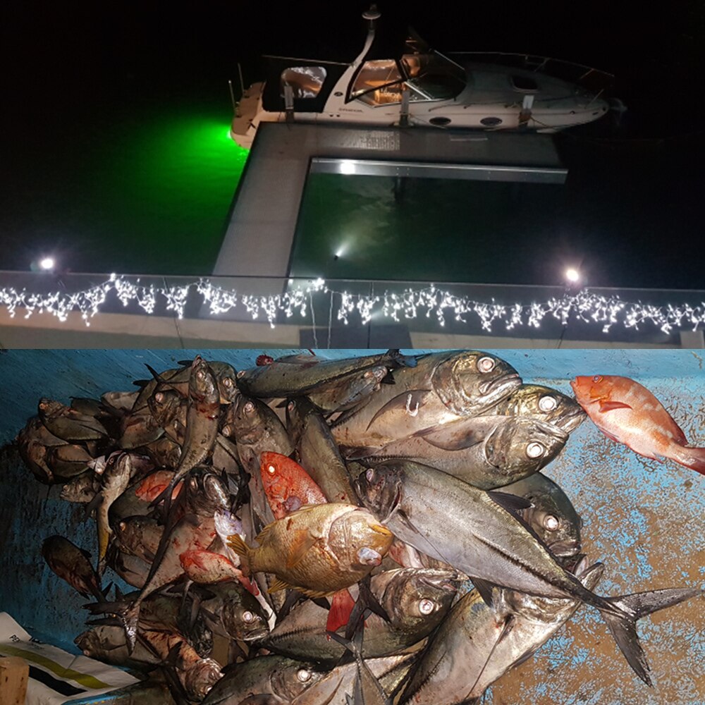 12v fiskelys led undervandspool  ip68 vandtætte lokker finder lampe tiltrækker rejer blæksprutte krill stil (grøn 4 farver)