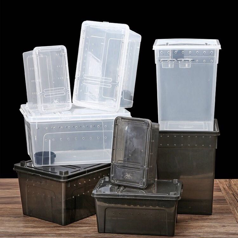 Terrario para los reptiles de caja de plástico transparente reptil de insectos de transporte de comida viva de alimentación caja tortuga reptil tanque lámpara