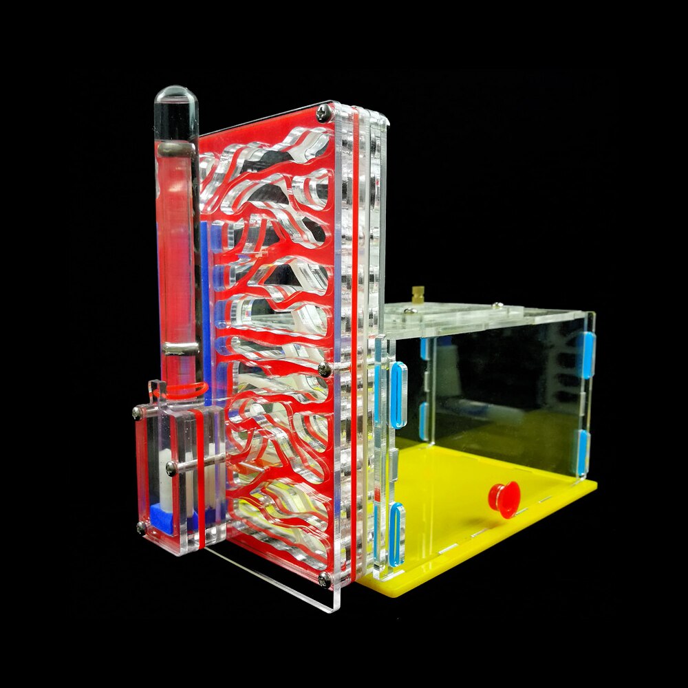 Ant Nest Ant Farm With 2 Nests 1 Water Tower 1 External Water Bowl Ant Home DIY Feeding Area Insect Villa Pet Mania House