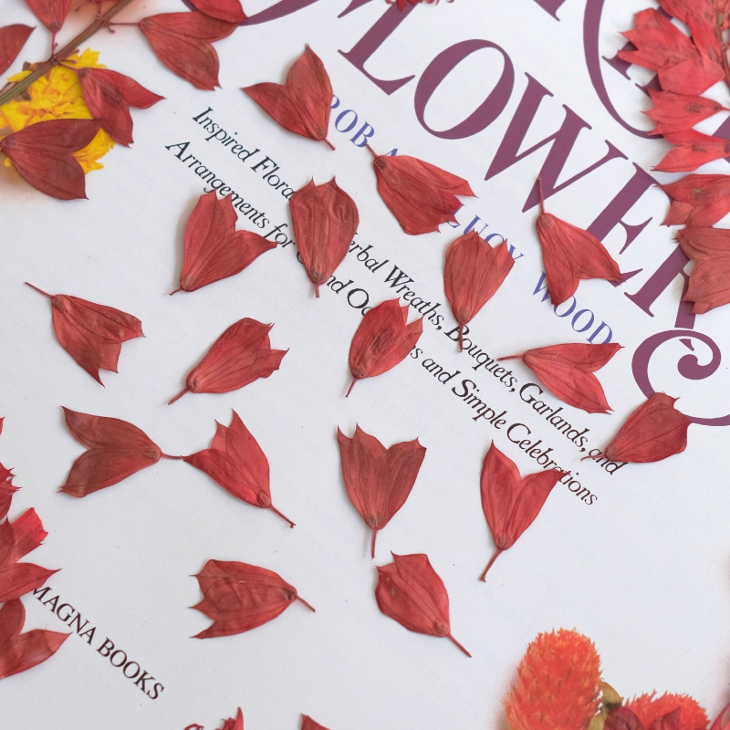 1-2 cm/40 stks, gedroogde tulp bloemknoppen geperste bloemen DIY ambachtelijke benodigdheden voor nail art, hars sieraden, telefoonhoes fotolijst decor