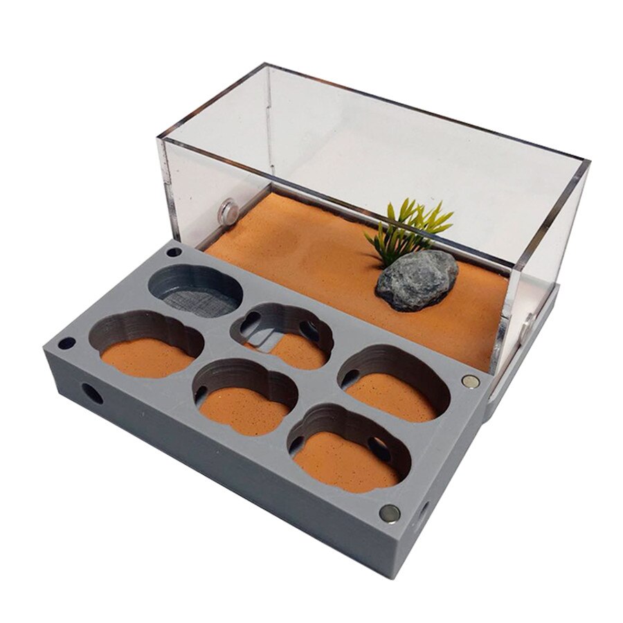 3D Acryl Flat Ant Farm Ecological Ant Nest with Feeding Area Concrete Ant House Pet Anthill Workshop Moisturizing Water Pool: M