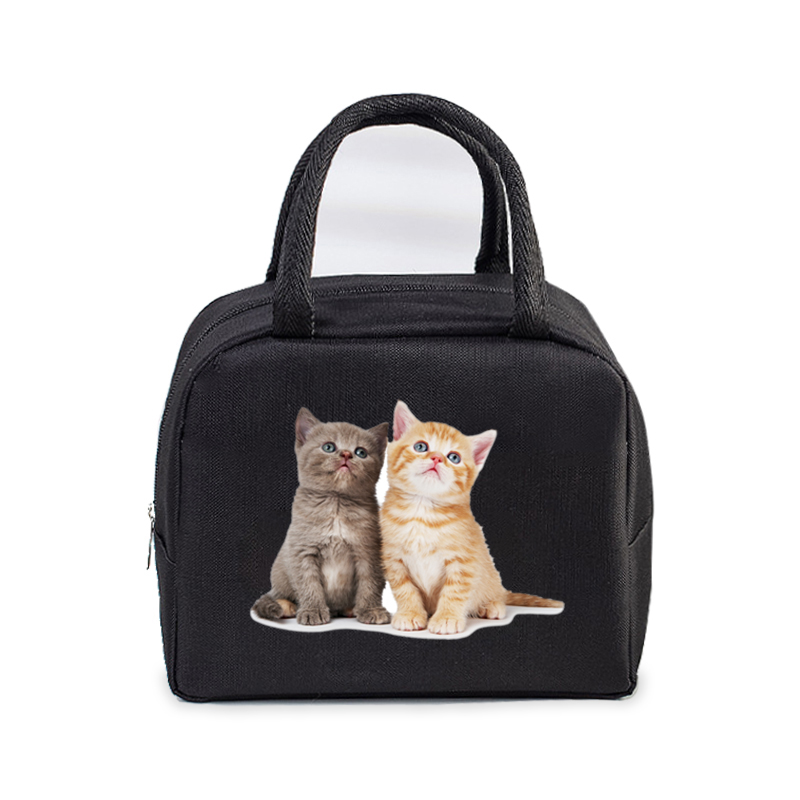 Lunch Bag for Women Men Insulated Portable 3D Cartoon Cats Multifunctional Bag Thermal Food Container School Kids Picnic Handbag: Ciemnoszary