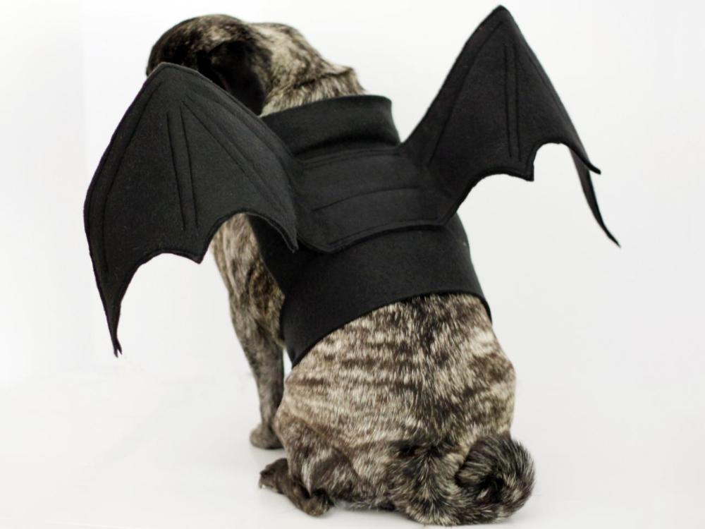 Halloween Cosplay Bat wings Costumes dog Bat wings collar harness puppy pet cat black bat: s
