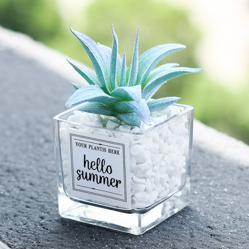 Planta de simulación nórdica, Mini planta suculenta en maceta, péndulo , botella de vidrio de piedra verde, planta decorativa de escritorio en maceta