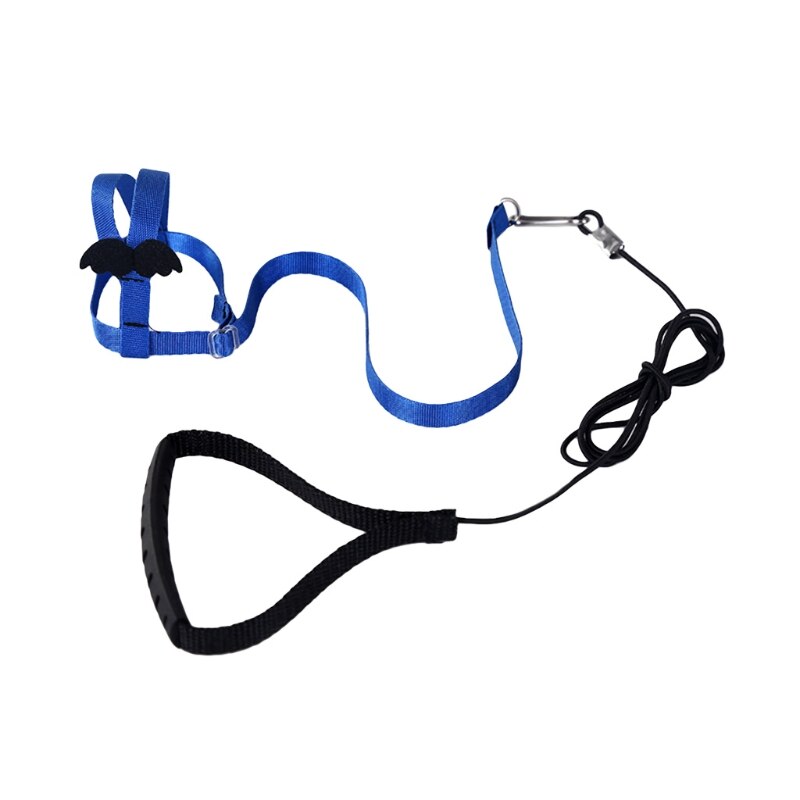 Cuerda de entrenamiento para loros voladores, kit de correa ajustable antimordedura para pájaros, con ala bonita, suministros de entrenamiento para loros y Mynah: Azul / L
