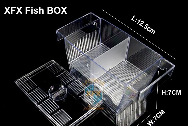 Neue Acryl Aquarium Aquarium Zucht Kasten Luft Drived Wasser Fließende Trennung Zucht Kasten Aquario Kleine Fisch Kasten Anlage Panzer: XFX Kasten