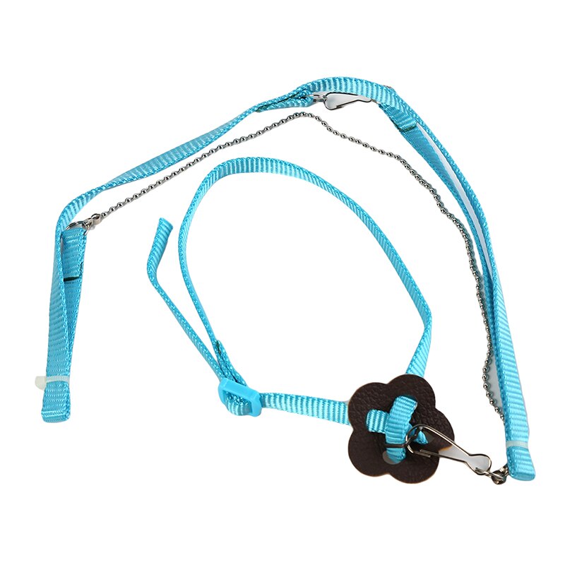 Anti-bite Flying Training Rope Parrot Bird Pet Leash Kits Ultralight Harness Leash Soft Portable Pet Playthings: blue