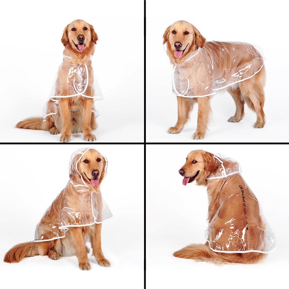 HobbyLane Trasparente Cani Impermeabile Cappotto di Pioggia per Il Grande canna di Medie casuale Giacca Cucciolo Accessori per Il canna