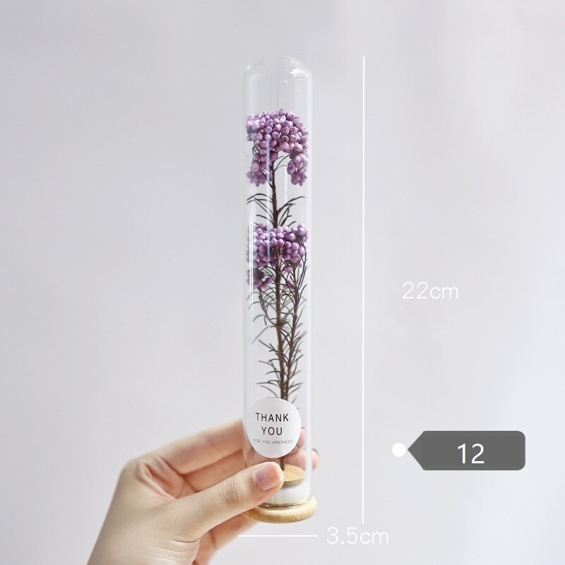 Dried Flower Glass Test Tube Decorations Family Living Room Study Specimens Ornaments: 12