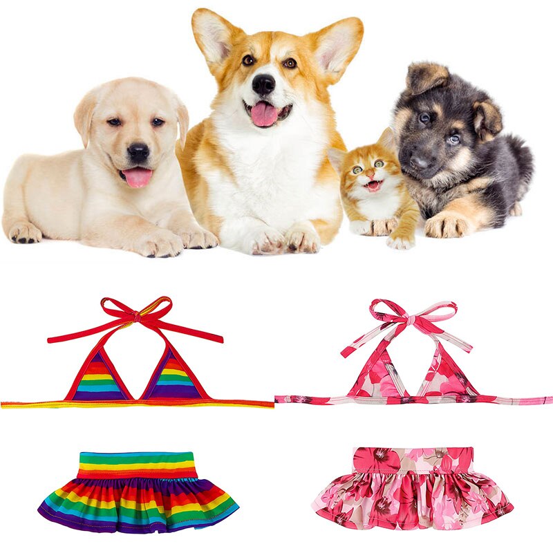 Maillot de bain d&#39;été pour chien, 2 pièces, mignon, Bikini, chiot, chiot, chat, vêtements de plage pour animaux de compagnie, pour petits chiens, vêtements d&#39;été