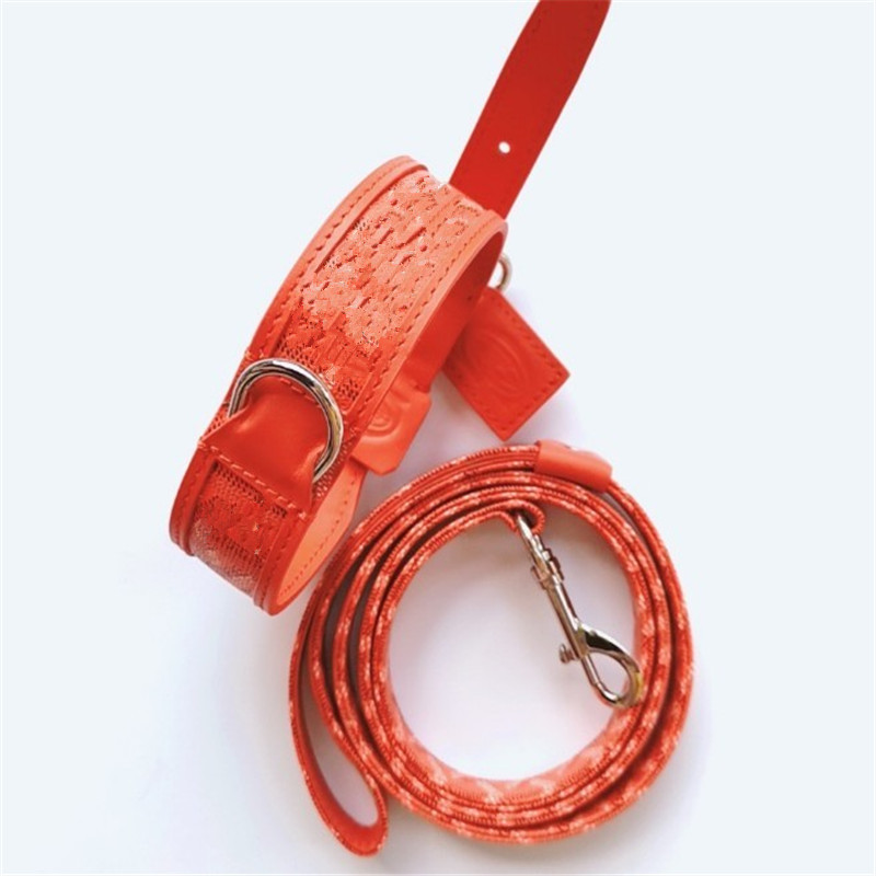 Lederen Halsband Leash Set Mode Afdrukken Honden Halsbanden 2 Layer Lederen Hondenriem Voor Kleine Medium Grote Honden Pitbull: B975 Orange / S