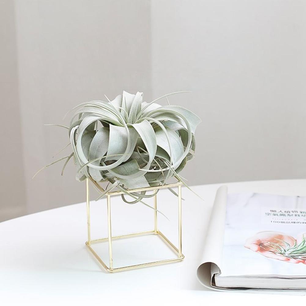 Rustic Style Iron Freestanding Hanging Metal Geometrical Shaped Small Square Air Plant Receptacle Flower Stand Rack Holder