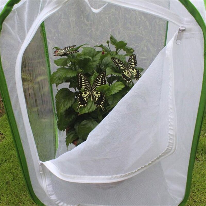Jaula para insectos plegable verde, jaula para insectos, jaula para insectos, palo de Mantis de mariposa, jaula con cremallera, red de tela