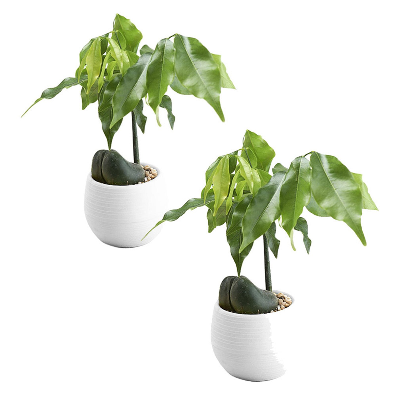 Watering Planter Handmade 2 Layer Self Watering Plant Flower Pot With Water Container Round Flowerpot Home Garden Decor