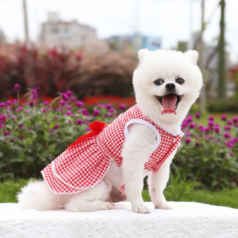 Huisdier Kleding Lente Zomer Hond Rok Kitten Puppy Zoet Prinses Kleding Verjaardag Bruiloft Chihuahua Plaid Kleding