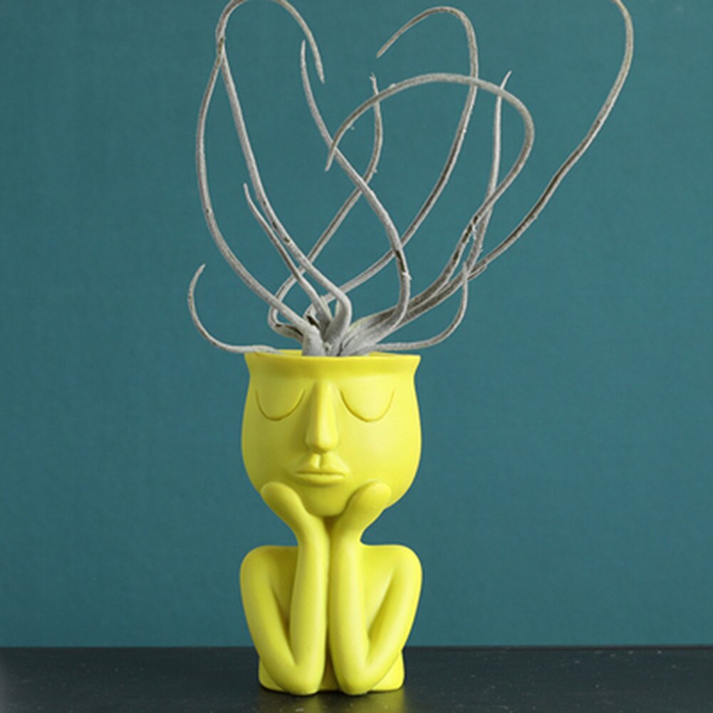 Personagem retrato vaso de flores resina suculentas planta pote rosto abstrato vaso de flores casa desktop paisagem decoração jan88