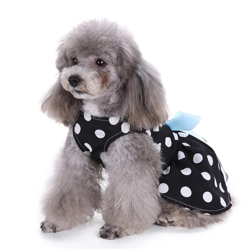 Hond Kleren Teddy Bichon Hiromi Franse Vechten Kat Overhemd Zomer Dunne Kleine Hond Pet Dot Lente, zomer En Herfst Hond Kleren