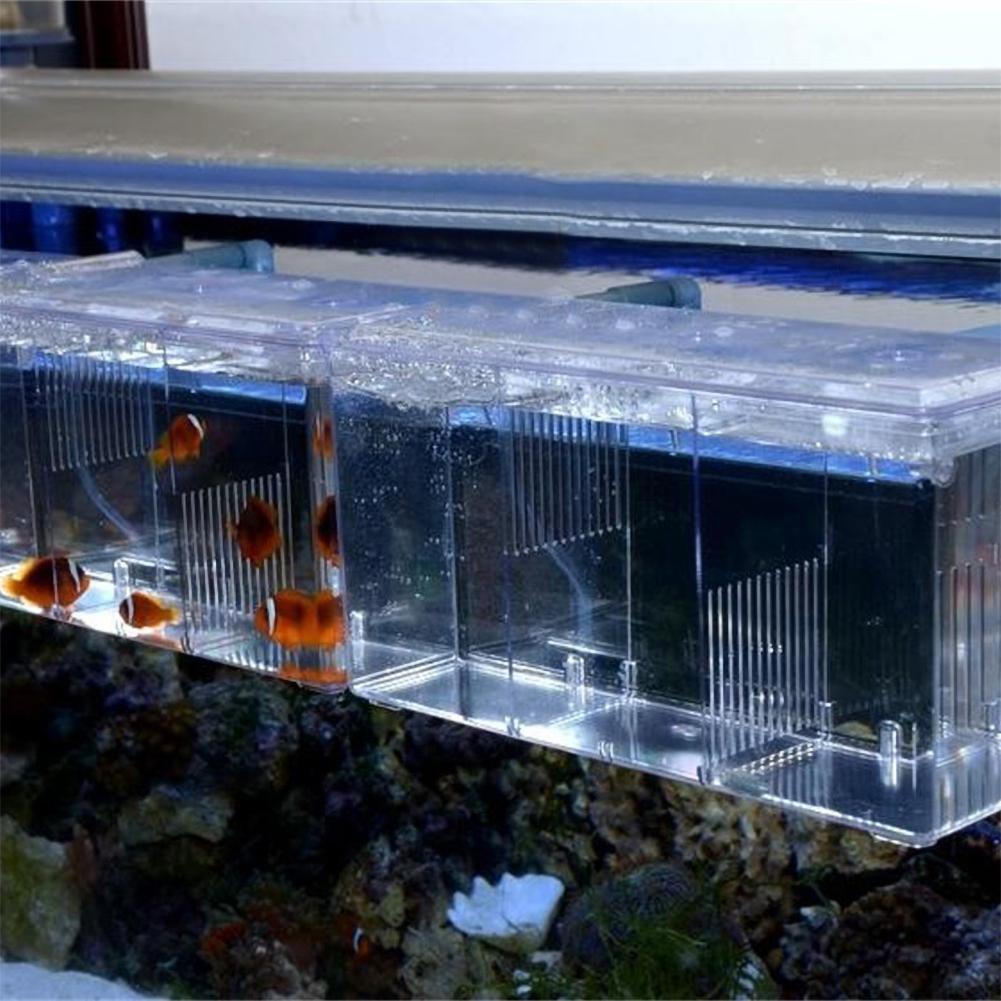 Scatola da appendere per isolamento dell'acquario