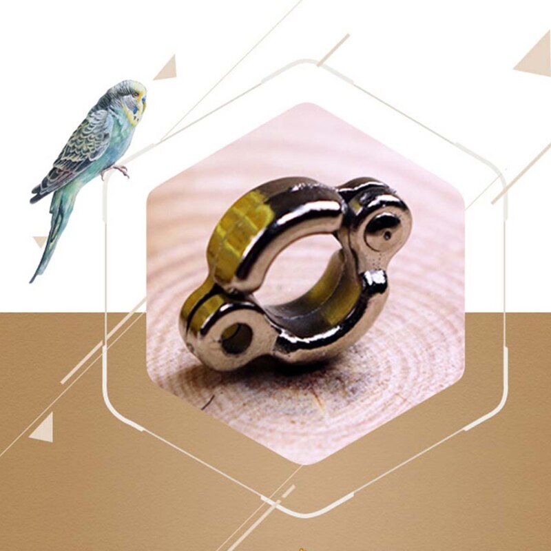 50 Stck Legierung Taube Bands Vogel Fuß Ring Arten Identifizieren Ausbildung Ringe Haustier Vogel