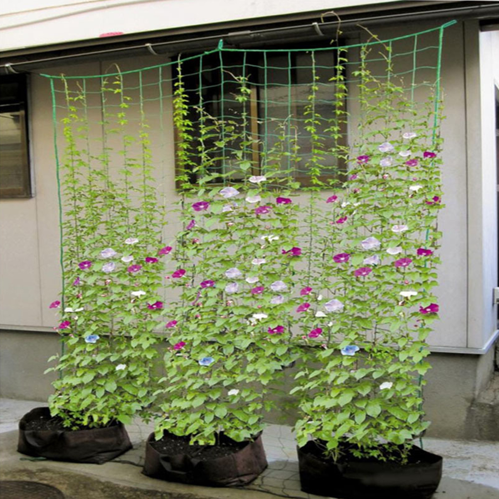 Gardening Network Plant Support Grow Net Holder Garden Fence Plants Climbing Nylon Net for Cucumber Morning Glory Petunia Flower