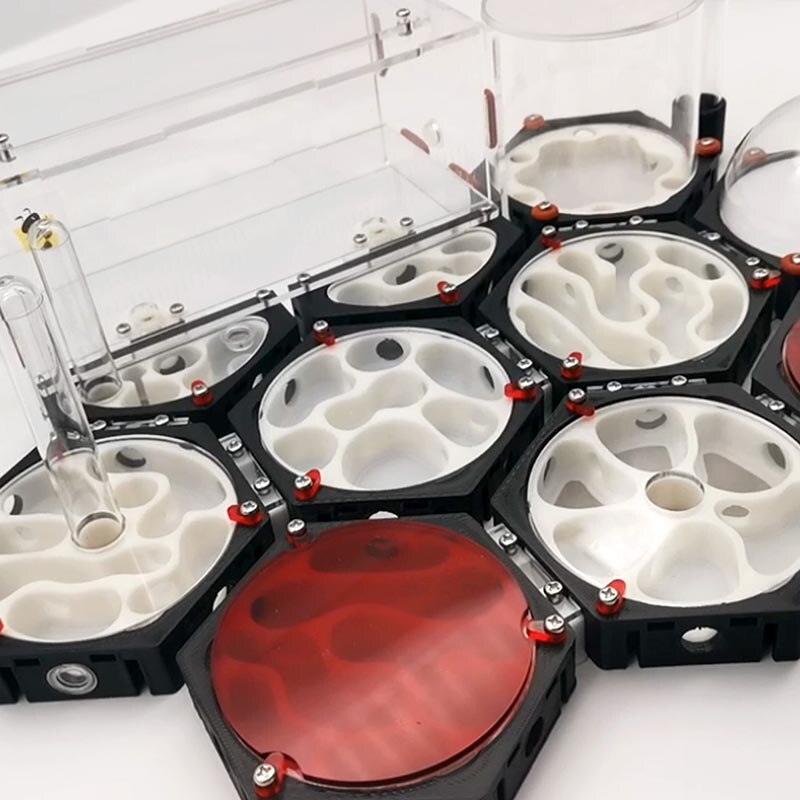 Ant Space Station 3D Ant Nest Queen Nest Acrylic Ant Nest Idea Reptile Terrarium Ants Farm House