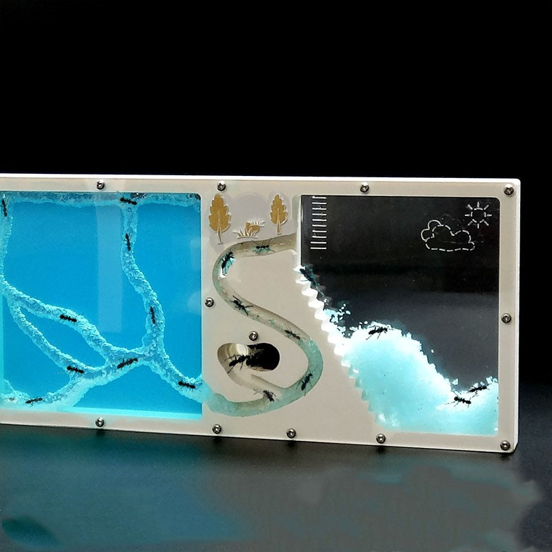 natural non-toxic children plant mud large space easy to see ant house ant nest farm